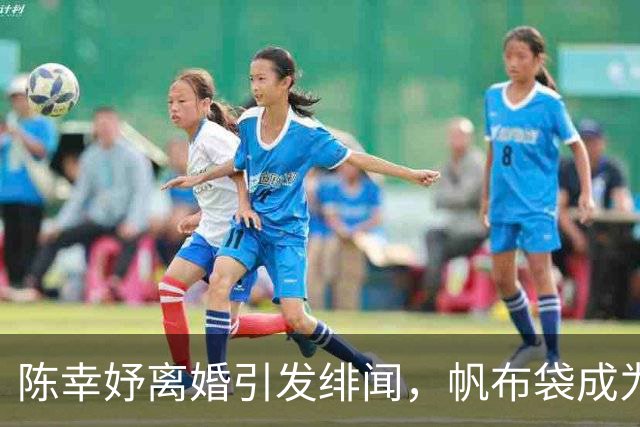 陈幸妤离婚引发绯闻，帆布袋成为热销单品